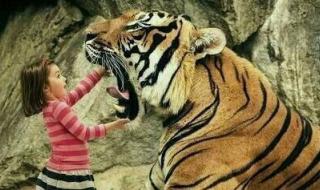 泰坦巨蟒能吞大象吗 泰坦巨蟒能吞大象吗