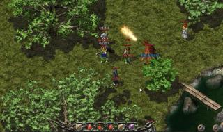 千年树妖爆什么 千年树妖爆什么